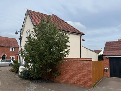 Picture 28
